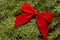 Red bow on evergreen Christmas tree background