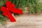 Red bow and fir tree branch on wooden board