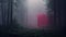 Red Box In Foggy Forest: Hyper-realistic Sci-fi Installation