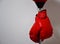 Red boxing gloves hanging on punching ball pole on concrete wall