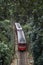 Red Brazilian Train Green Jungle Tijuca Rio Brazil