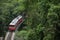 Red Brazilian Train Green Jungle Tijuca Rio de Janeiro