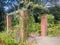 A red brick arch full of climbing plants.