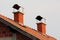 Red brick chimneys with metal protection on top on unfinished suburban family house at sunset