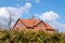 Red brick house. Hedge of Thuja trees. Row of tall evergreen thuja trees green hedge fence