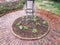 Red brick sidewalk or path and plants