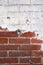 Red brick wall half painted in white vertical image