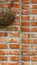 A red brick wall with hanging flowerpots for wall hangings.