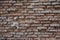 red brick wall in old city heritage building in semarang city 26 september 2022