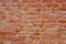 Red brick wall with saltpeter and moisture