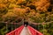 Red bridge, Kami No Iwahashi in Dakigaeri Valley - Senboku, Akita, Japan