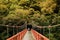 Red bridge, Kami No Iwahashi in Dakigaeri Valley - Senboku, Akita, Japan