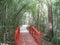Red bridge leads to a curved path
