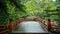 Red Bridge in the maple forest