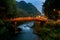 Red Bridge Nikko Night