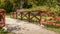 Red bridge over a small river. in the background is a pink rhododendron as well as a large old tree