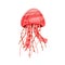 Red bright medusa isolated on white background. Marine jellyfish with tentacles. Beautiful aquatic animal or ocean