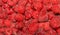 Red bright raspberries- great as background