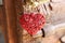Red brilliant heart as christmas decoration hanging from home d