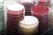 Red and brown petri dishes stacks in microbiology lab. Focus on stacks.