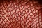 Red and brown printed design of a clothing surface stock photo