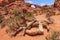 Red Brown Skyline Arch Arches National Park Moab Utah