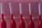 Red brushes for braces, toothbrushes for interdental spaces on pink background in plastic box, closeup. Macro. The concept of good