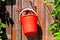 Red bucket