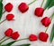 Red buds tulips on white painted wooden background with space for text. Top view, flat lay