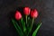 Red bunch of tulip flowers on textured black background