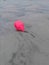 Red buoy