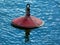 Red Buoy Floating on Calm Water with Reflection