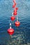 Red buoy for mooring boats on the water