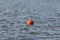 Red buoy swinging on the waves