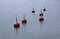 Red buoys in the lake