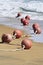 Red buoys on in the shore of island of Hainan, China