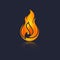 Red Burning Fire Flame design vector template. Burn Fireball concept icon pack