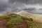 Red bush blueberries and dramatic clouds in the mountains