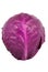 Red Cabbage