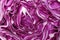 Red cabbage background