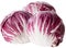 Red cabbage radicchio isolated on white