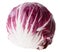 Red cabbage radicchio isolated on white