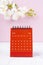 The Red calendar July 2023. Desk calendar for year 2023 and pink orchid on pink background