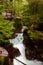 Red canyon of Avalanche creek along the Cedars trail