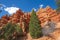 Red Canyon Panorama