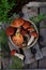 Red cap boletus on wooden background. Brown wild mushrooms. Edible fungus Leccinum Aurantiacum collected in forest. Raw food