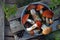 Red cap boletus on wooden background. Brown wild mushrooms. Edible fungus Leccinum Aurantiacum collected in forest. Raw food