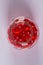 Red capsule medical vitro
