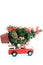 Red car carrying an ornate Christmas pine tree on white background