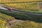 Red car on the roads of the Route des Vins of Alsace